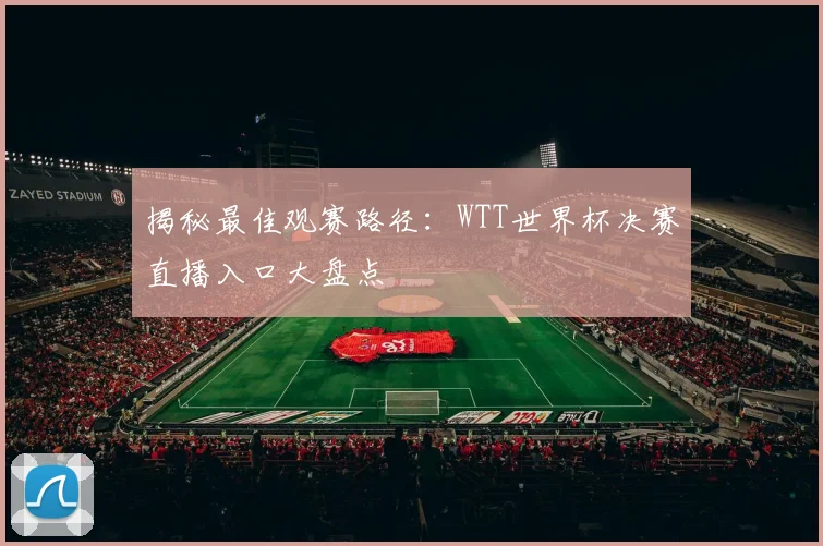 揭秘最佳观赛路径：WTT世界杯决赛直播入口大盘点