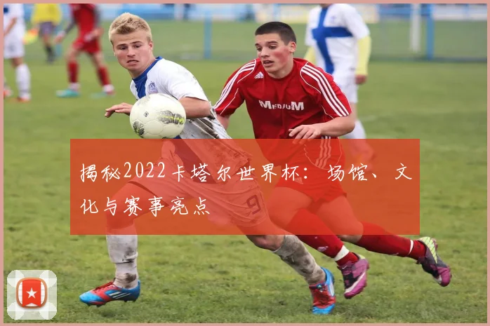 揭秘2022卡塔尔世界杯：场馆、文化与赛事亮点