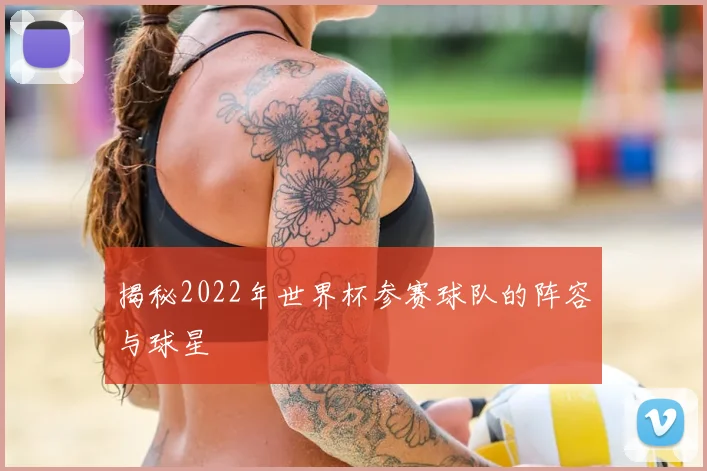 揭秘2022年世界杯参赛球队的阵容与球星
