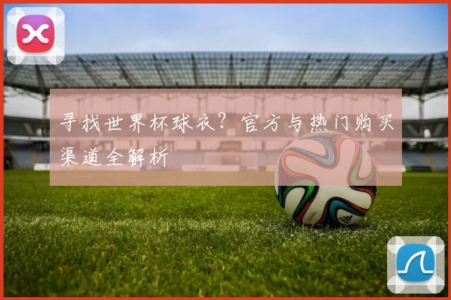 寻找世界杯球衣?官方与热门购买渠道全解析