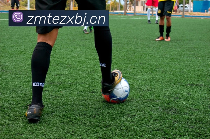 数据防护可视化